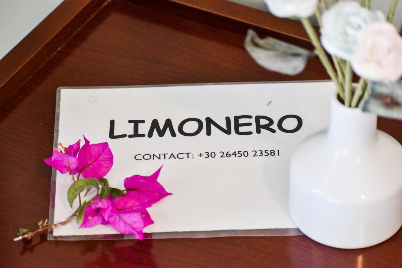 Limonero New City Apartment 2 With Private Parking Лефкада Экстерьер фото